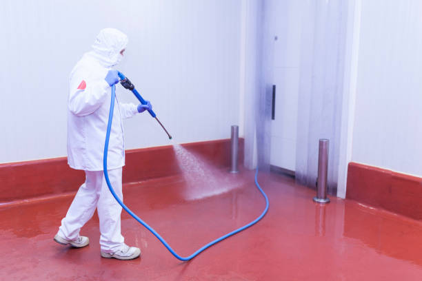 Best Window and Screen Pressure Cleaning in Southern View, IL